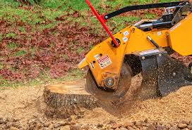 Best Aeration Services  in Sparkill, NY